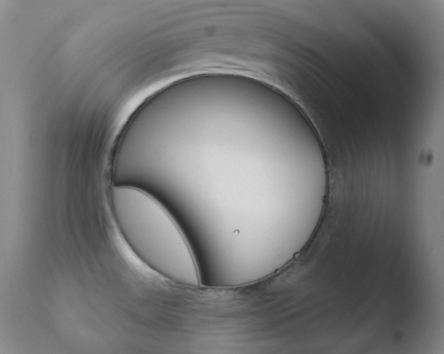 X0000110721531200906121234