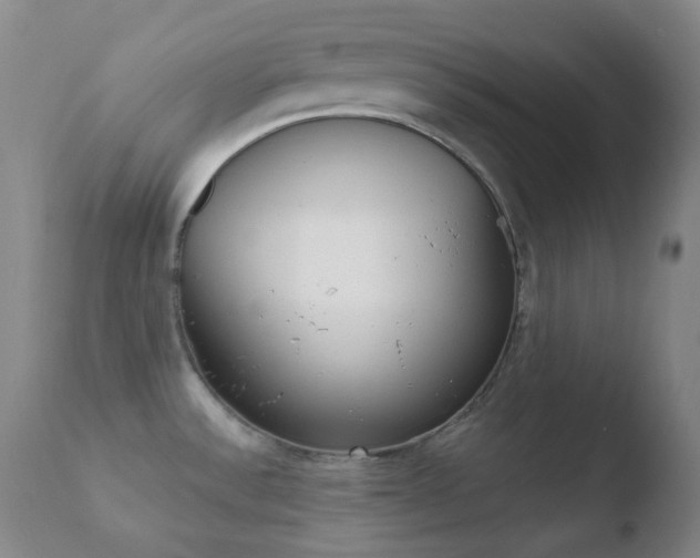 X0000110721532200906121234