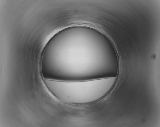X0000110721533200906121234