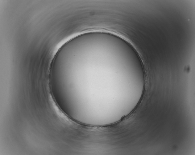 X0000110721534200906121234