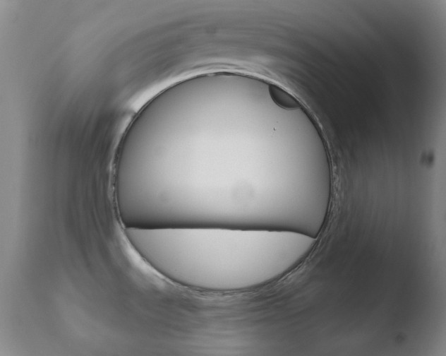X0000110721535200906121234