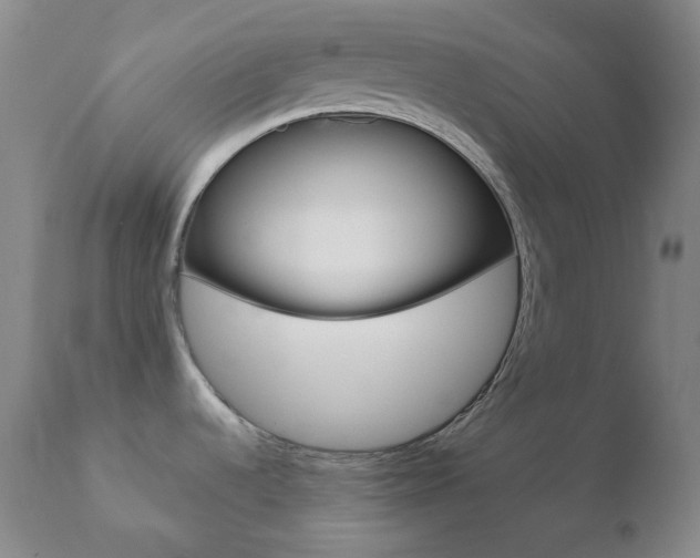 X0000110721536200906121234