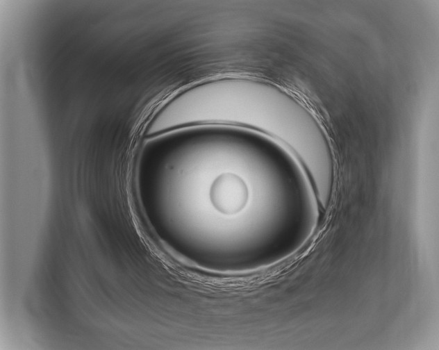 X0000110720001200906121437