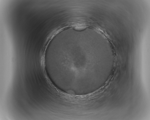 X0000110720002200906121437