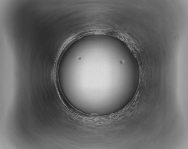 X0000110720003200906121437
