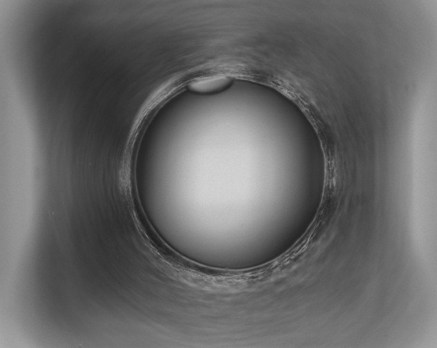 X0000110720004200906121437