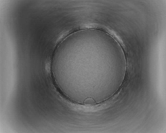 X0000110720010200906121437