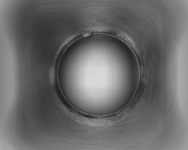 X0000110720012200906121437