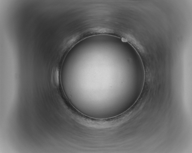 X0000110720014200906121437