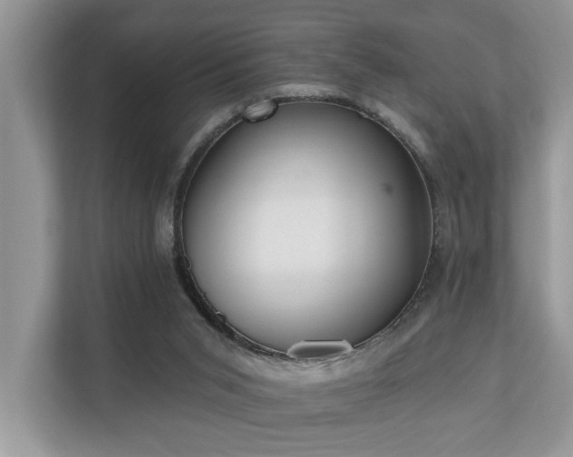 X0000110720015200906121437