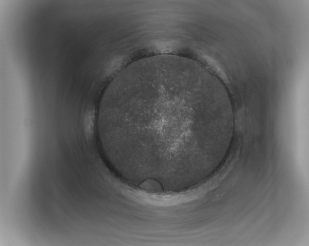 X0000110720018200906121437