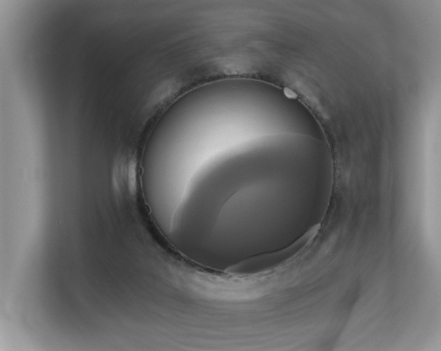 X0000110720019200906121437