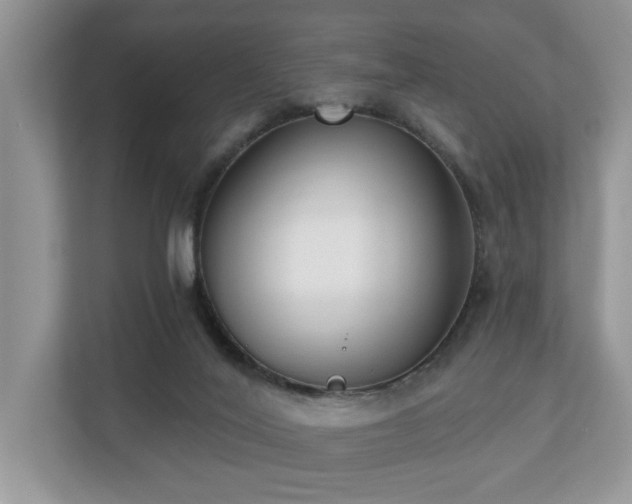 X0000110720020200906121437