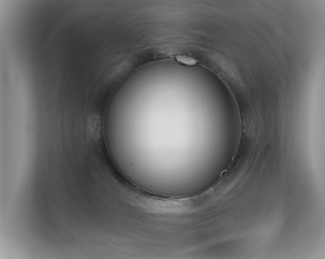 X0000110720036200906121437