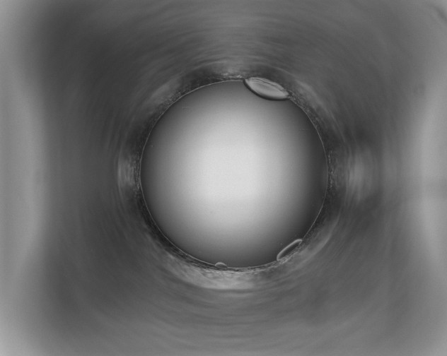 X0000110720044200906121437