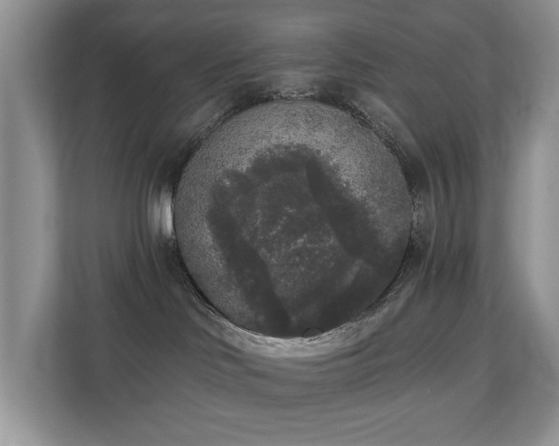 X0000110720046200906121437