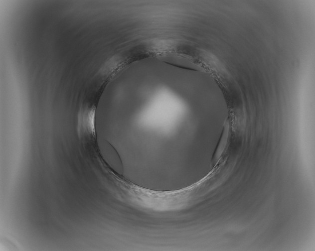 X0000110720047200906121437