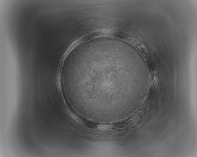 X0000110720051200906121436