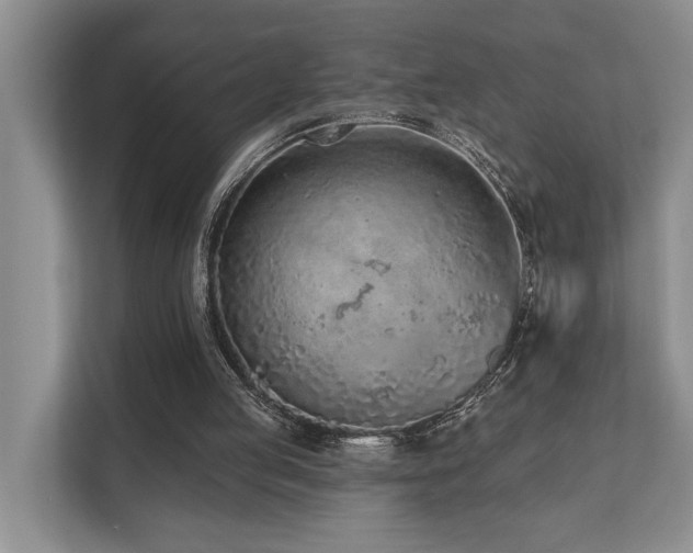 X0000110720053200906121436