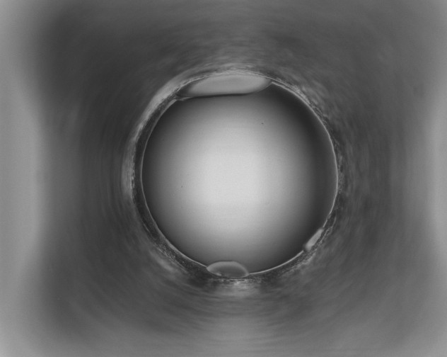 X0000110720056200906121436
