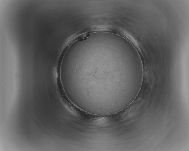 X0000110720059200906121436