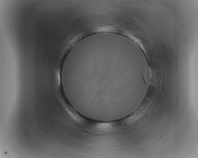 X0000110720061200906121436