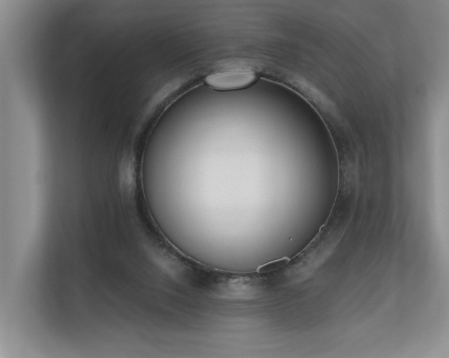 X0000110720064200906121436