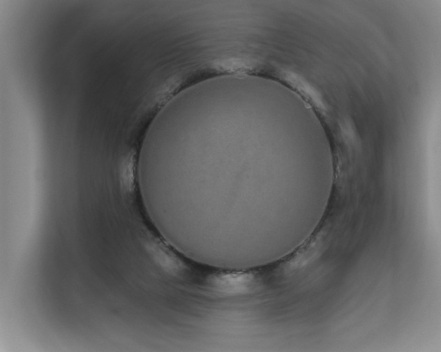 X0000110720065200906121436