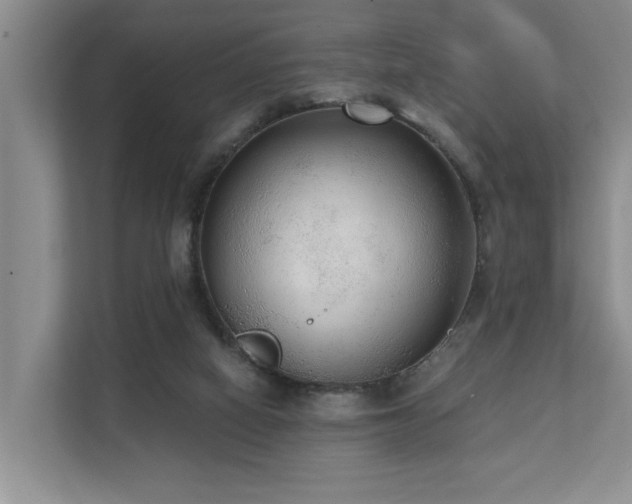 X0000110720066200906121436