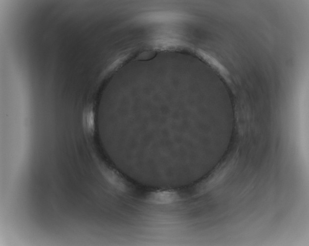 X0000110720067200906121436