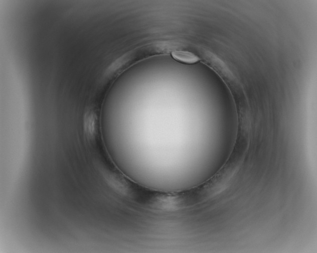 X0000110720071200906121436