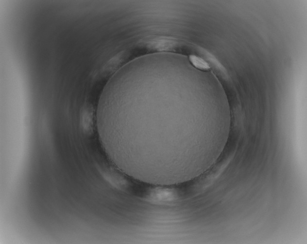 X0000110720073200906121436