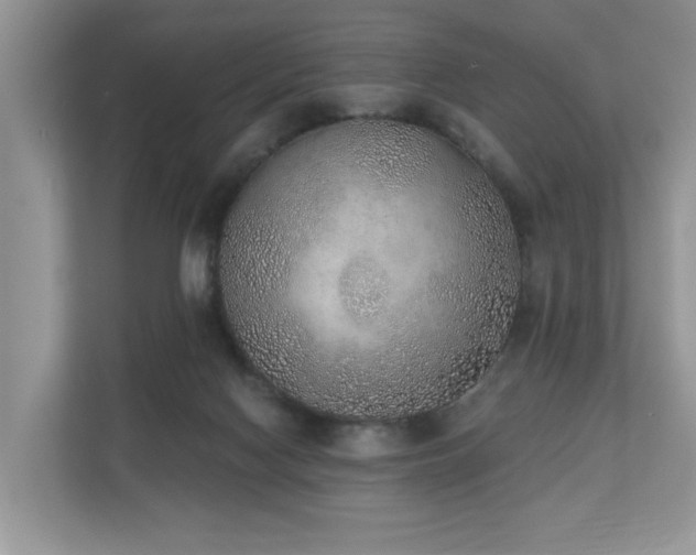 X0000110720074200906121436