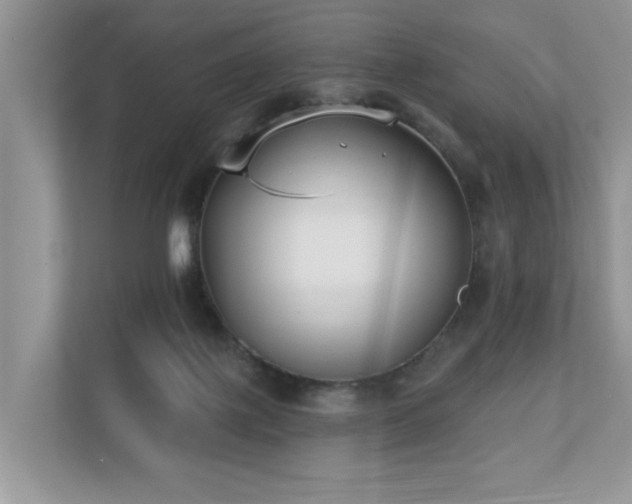 X0000110720075200906121436
