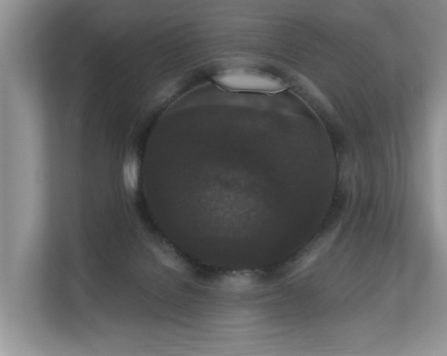 X0000110720076200906121436