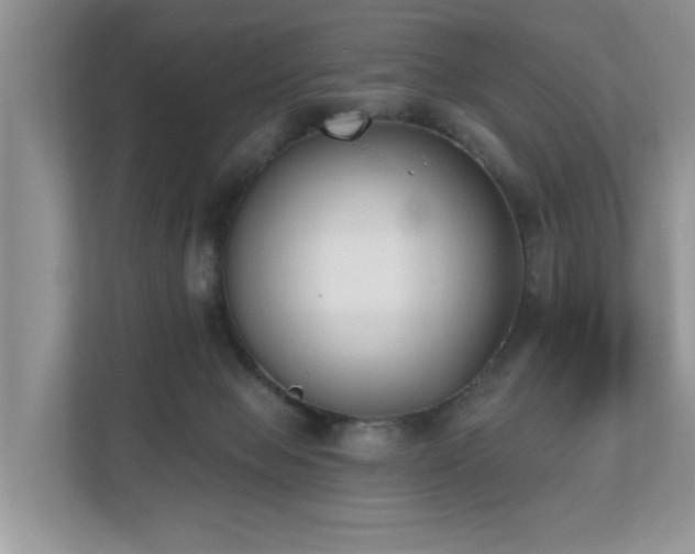 X0000110720077200906121436