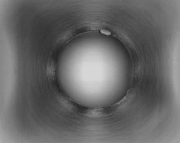 X0000110720078200906121436