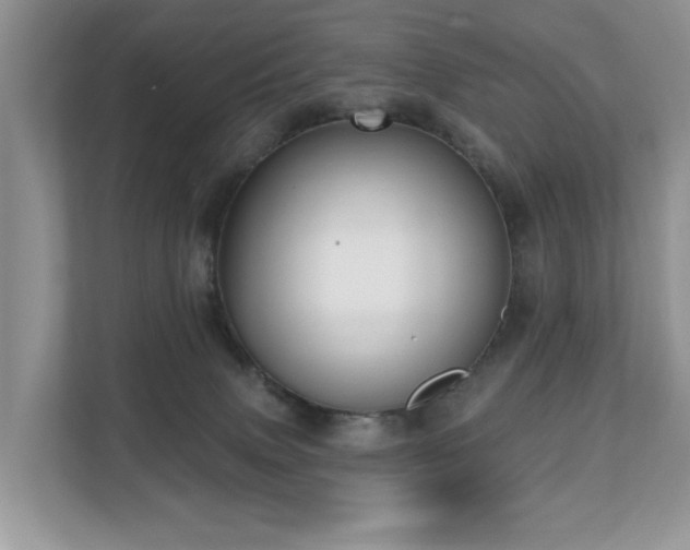 X0000110720083200906121437