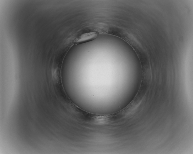 X0000110720088200906121437