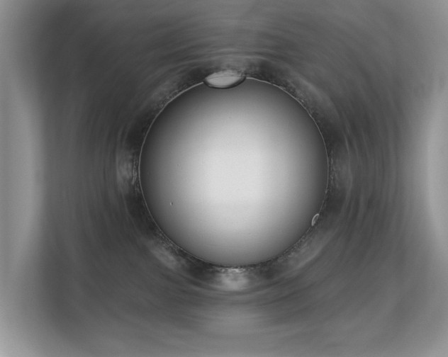 X0000110720091200906121437