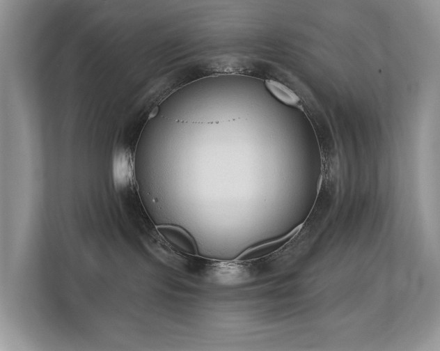 X0000110720095200906121437