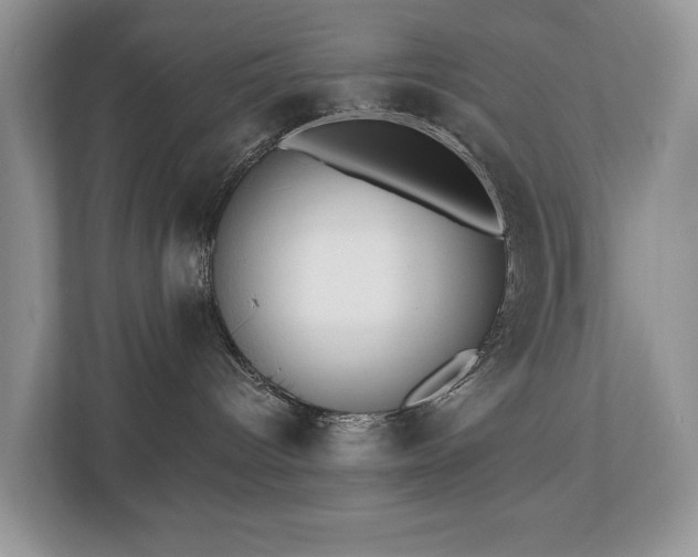 X0000110720096200906121437