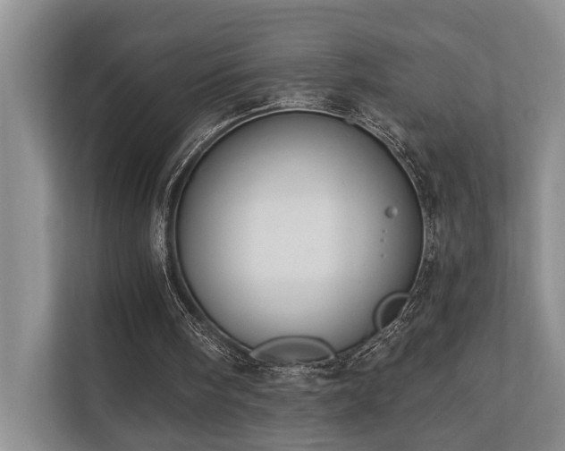 X0000110720098200906121436