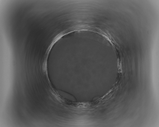X0000110720099200906121436