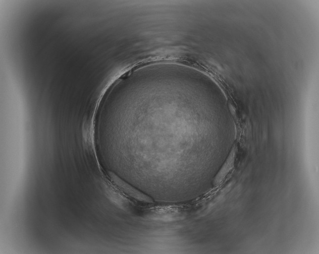 X0000110720100200906121436