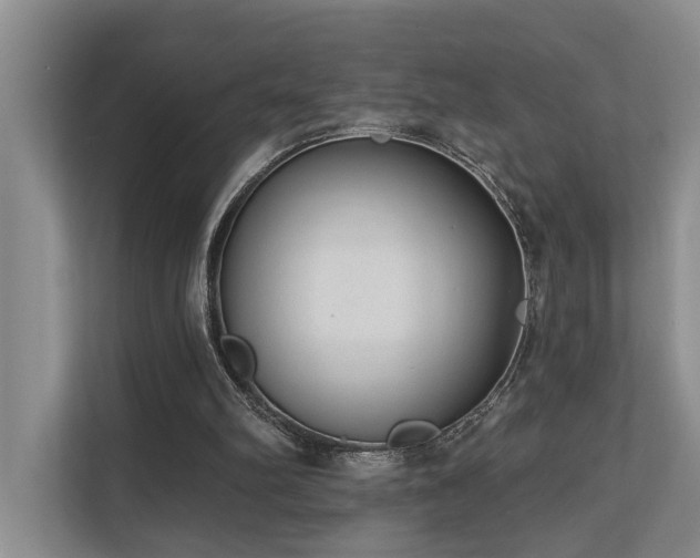 X0000110720102200906121436