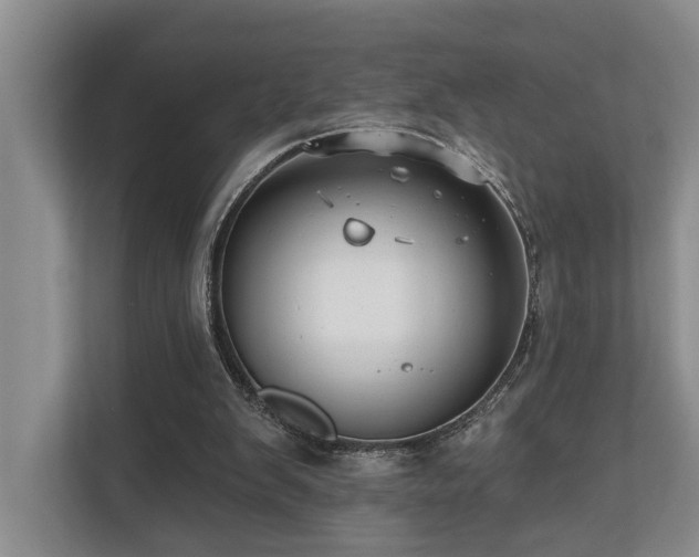 X0000110720103200906121436