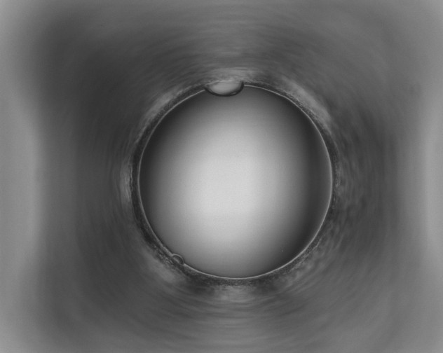 X0000110720107200906121436