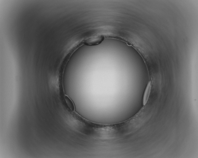 X0000110720112200906121436