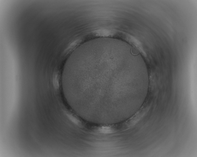 X0000110720114200906121436